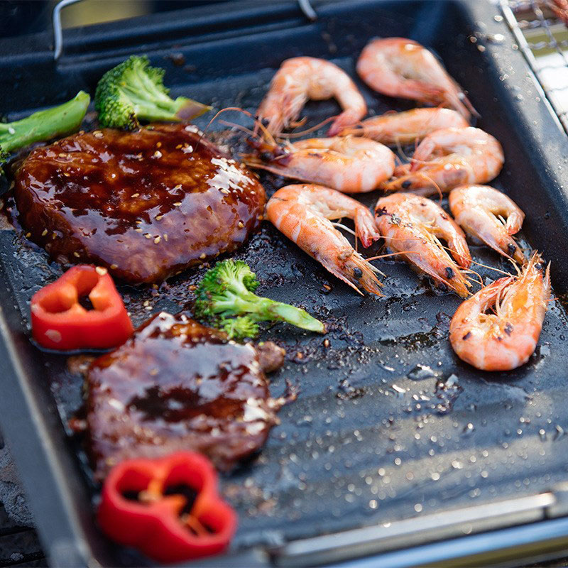 Outdoors Thick Square Grill Pa - Camping Cooking Survival 评论和价格